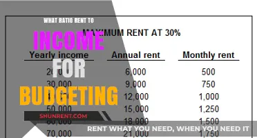 Smart Budgeting: The Ideal Rent-to-Income Ratio Revealed