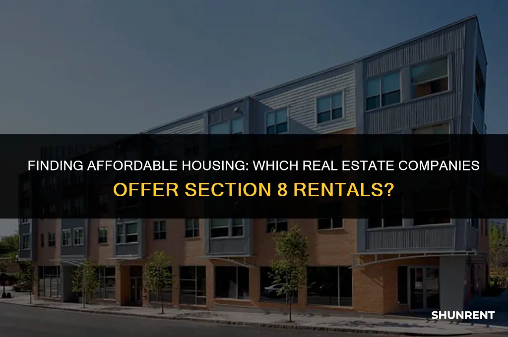 what real estate company rents section 8