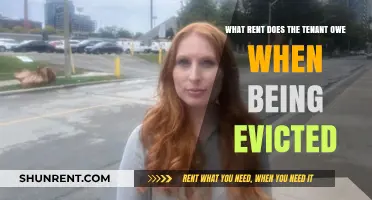 Eviction and Rent: Understanding Tenant Obligations During the Process