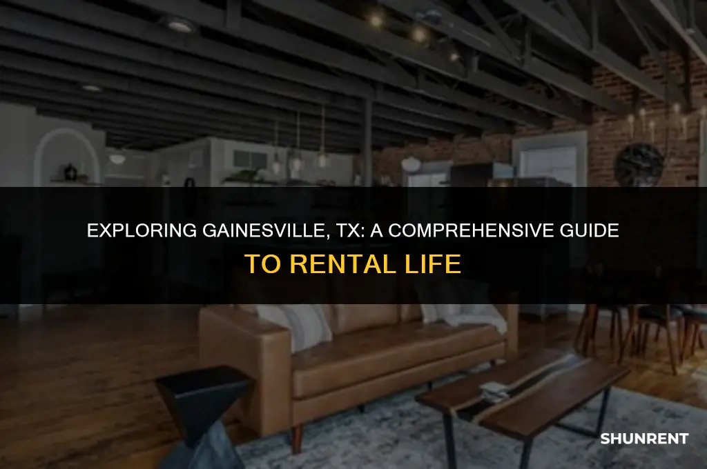 what rent is like in gainsville tx