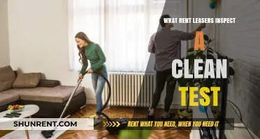 Ensuring Spotlessness: A Guide to Rent Lease Inspections