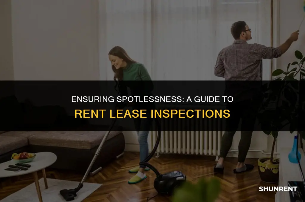 what rent leasers inspect a clean test