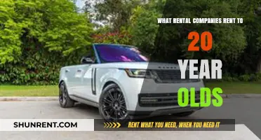 Rental Companies Offering Cars to 20-Year-Old Drivers: A Guide