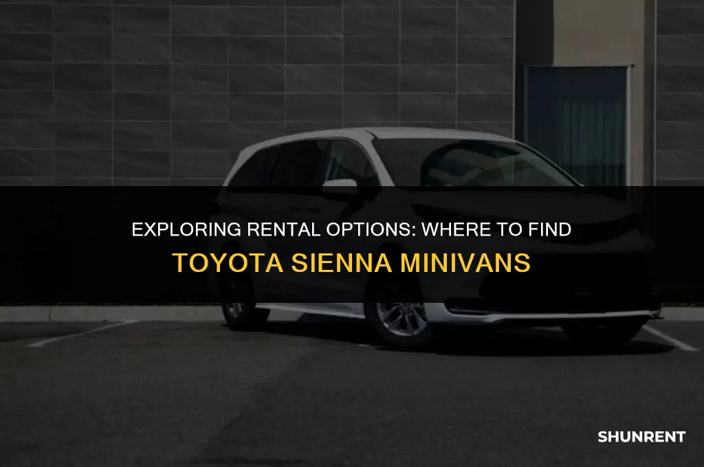 what rental company rents out toyota siennas