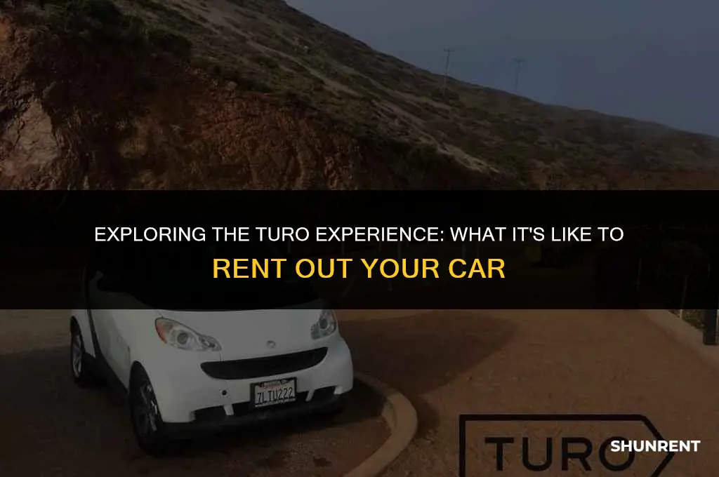 what renting out to turo is like
