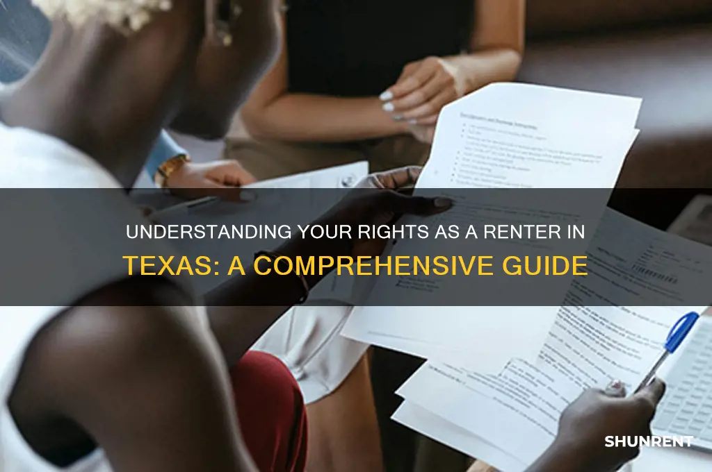 what rights do i have as a renter in texas