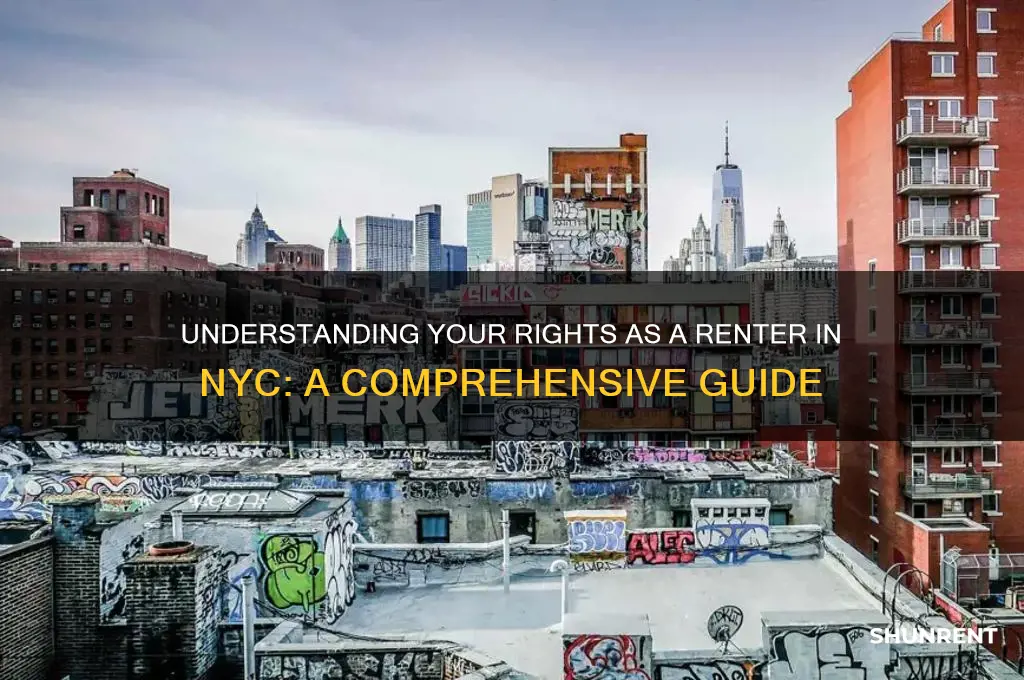 what rights do i have as a renter nyc