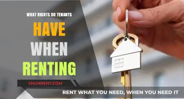 Understanding Tenant Rights: A Comprehensive Guide to Renting
