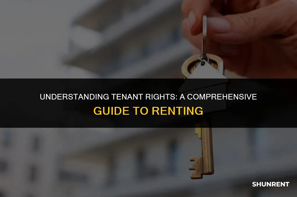 what rights do tenants have when renting