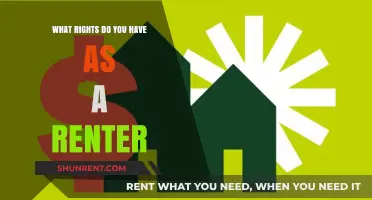 Understanding Your Renter Rights: Essential Protections Every Tenant Should Know