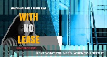 No Lease, No Problem: Understanding Your Rights as a Renter