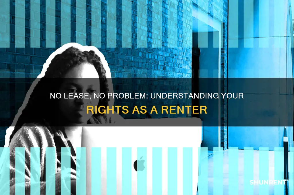 what rights does a renter have with no lease