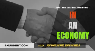 Rent Seeking's Impact: Economic Distortions and Growth Implications Explored