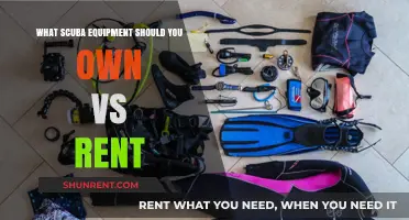 Scuba Gear Essentials: What to Own vs Rent for Divers