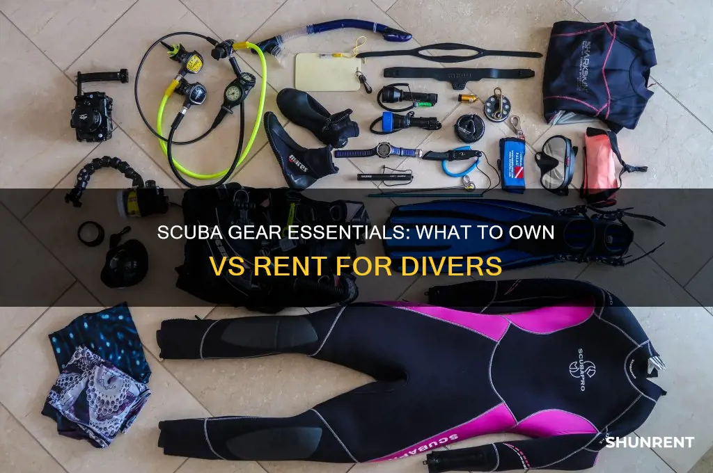 what scuba equipment should you own vs rent