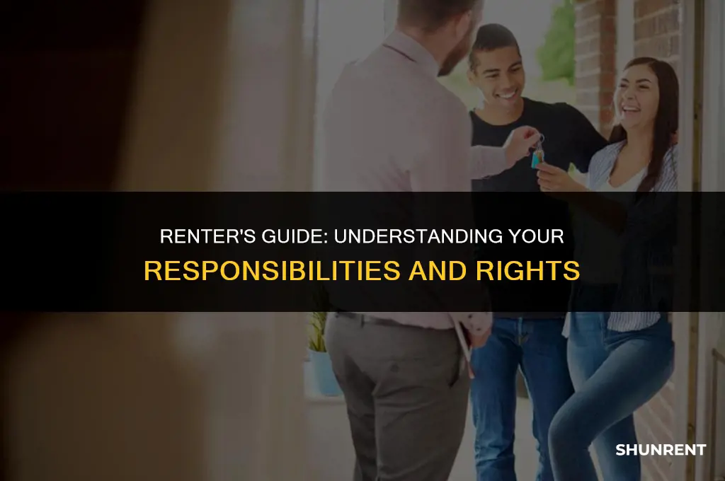 what should a renter be responsible for