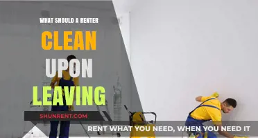 Essential Cleaning Tips for Renters: A Move-Out Checklist