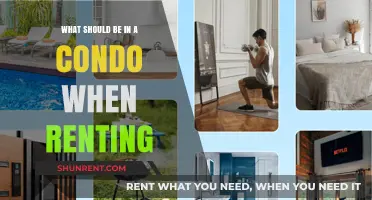 Essential Items to Look for When Renting a Condo