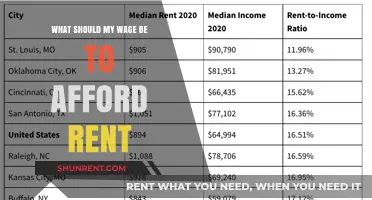 Balancing Rent and Income: How Much Should You Earn to Afford Housing?