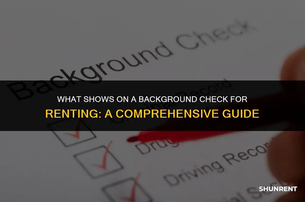 what shows on background check for renting