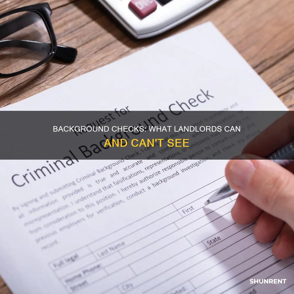 what shows up on a background check for renting