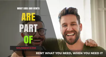 Exploring the Intricacies of Sibling Relationships and Rent Agreements