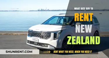 Choosing the Perfect SUV Rental for Your New Zealand Adventure