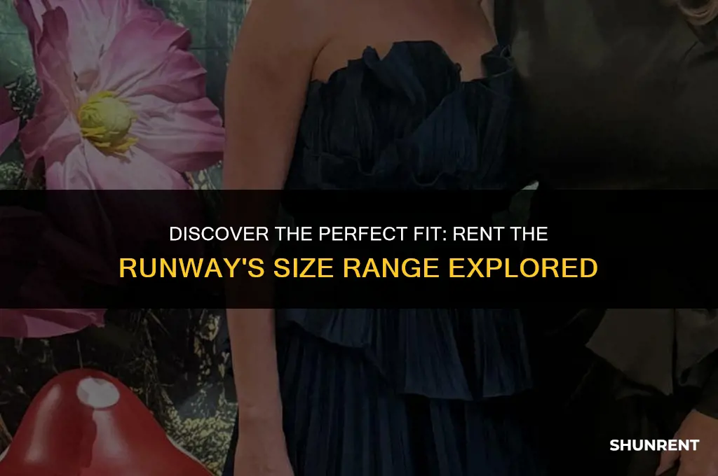 what sizes does rent the runway have