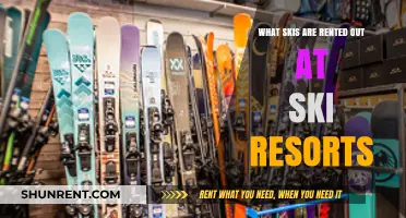Top Ski Rental Options Available at Popular Ski Resorts