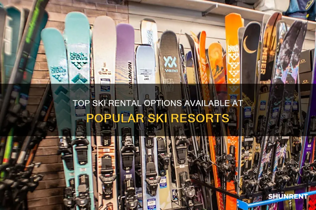 what skis are rented out at ski resorts
