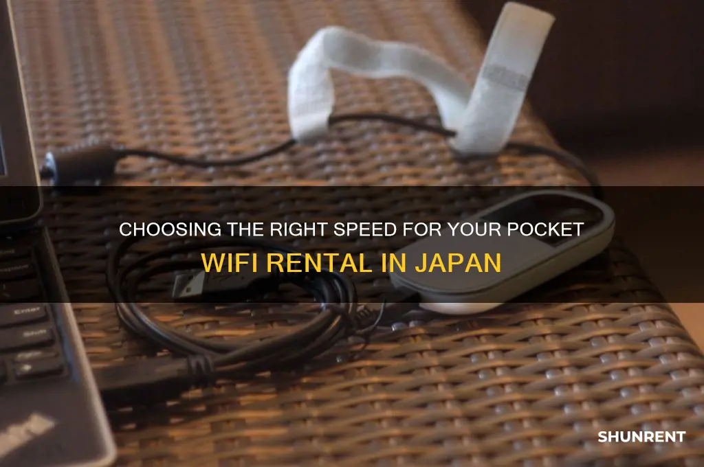 what speed pocket wifi should i rent in japan