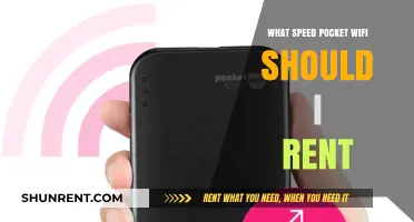 Choosing the Right Speed for Your Pocket WiFi Rental