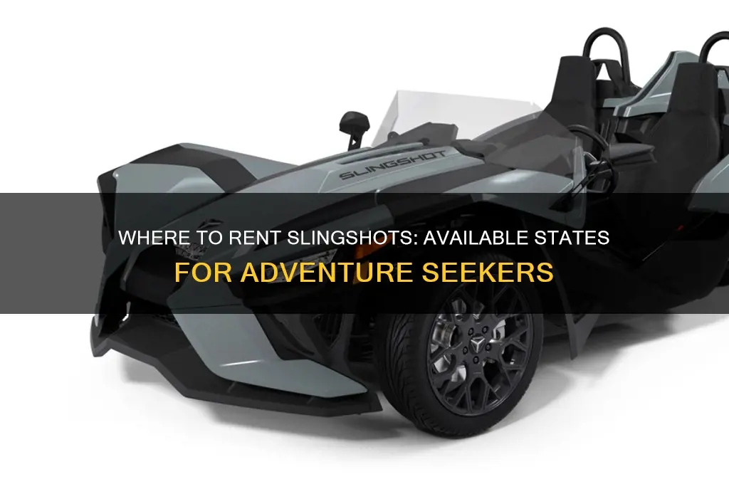 what states are slingshot availble to rent in