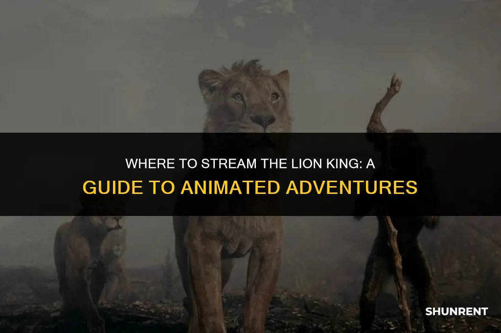 what streaming service rents animated lion king