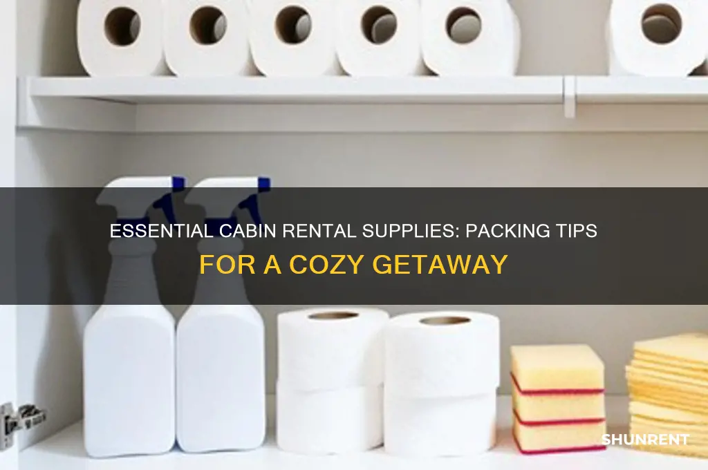 what supplies do you take when renting a cabin