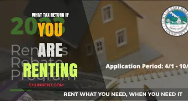 Decoding Tax Returns: A Guide for Renters