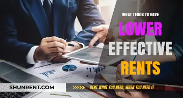 Exploring the Factors That Influence Lower Effective Rents