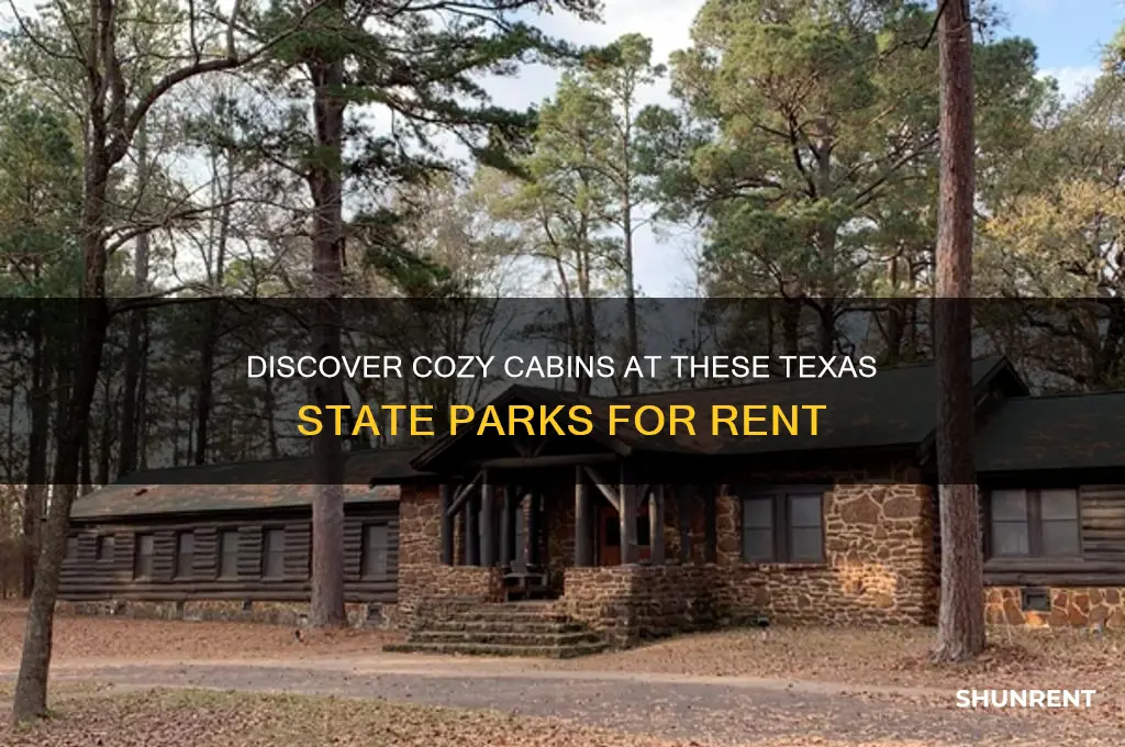 what texas state parks have cabins to rent