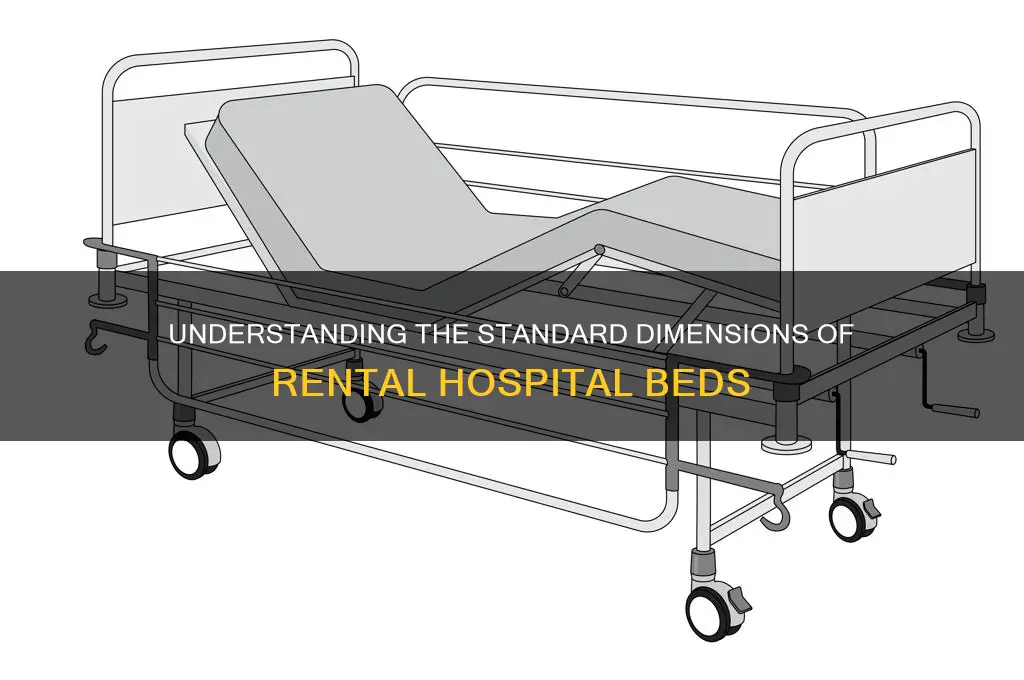 what the average size of a renting hospital bed
