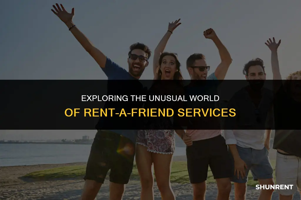 what the heck is rent a friend
