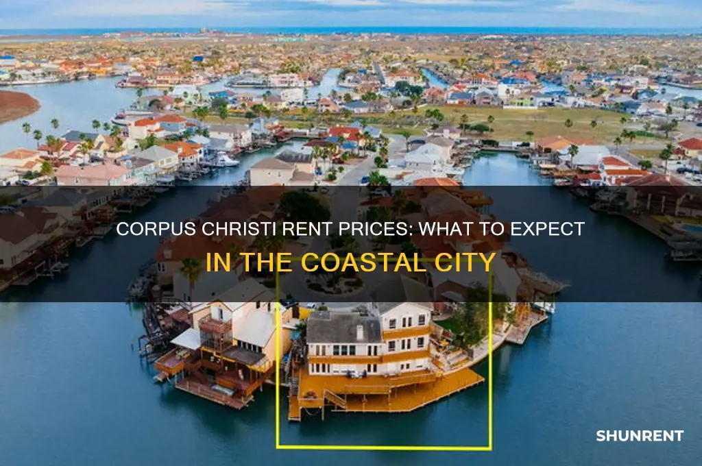 what the price of a rent in corpus christi tx