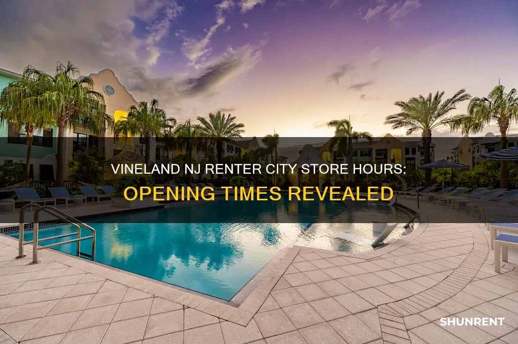 what time do renter city open vineland nj