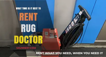 Best Time to Rent Rug Doctor: Tips for Optimal Cleaning