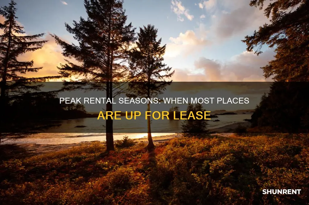 what time of the year do most places rent