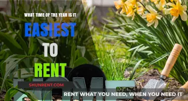 Best Time to Rent: Seasonal Tips for Easier Apartment Hunting