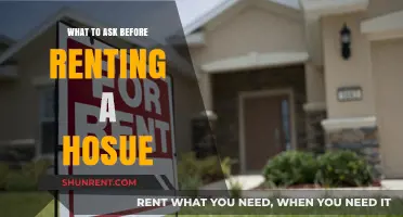 Essential Questions to Ask Before Renting Your Dream Home