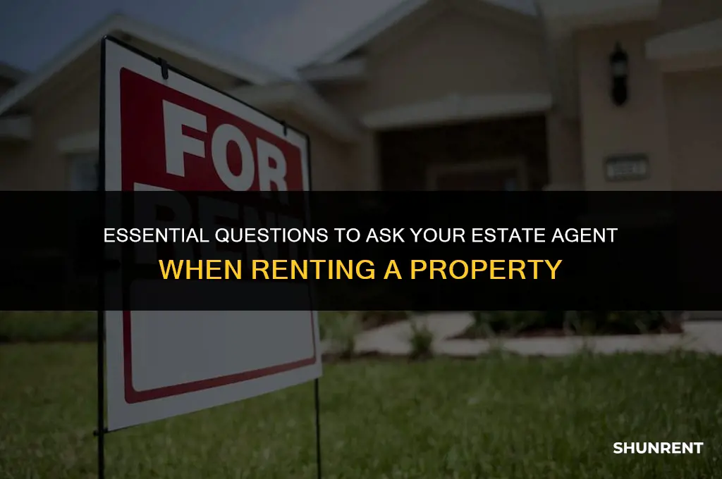 what to ask estate agent when renting