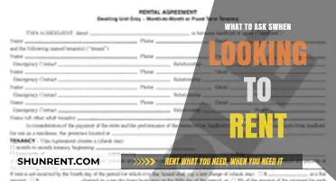 Smart Questions to Ask Before Signing a Rental Agreement