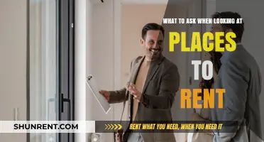 Key Questions to Ask When Viewing Rental Properties: A Comprehensive Guide