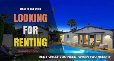 Essential Questions to Ask Before Renting Your Dream Home